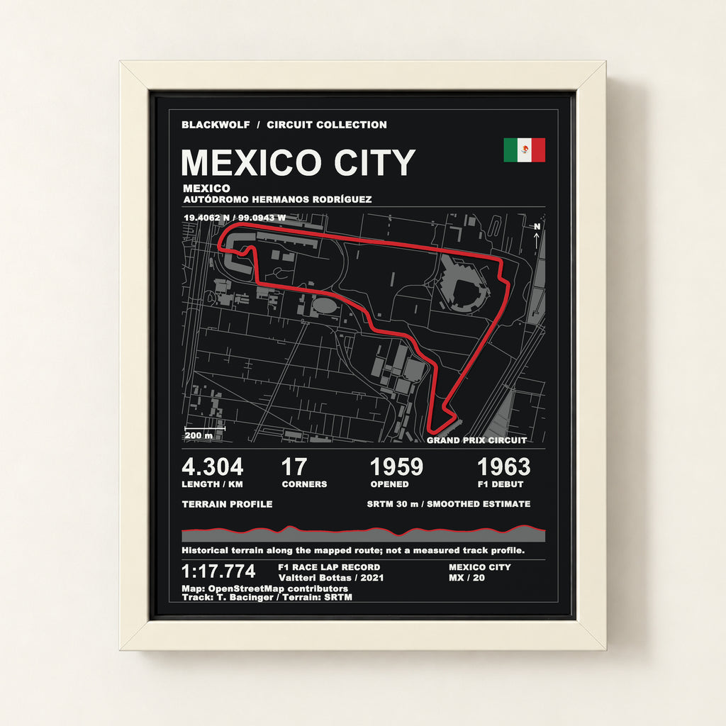 Mexico City 8 × 10 inch circuit art with White frame, digital product representation