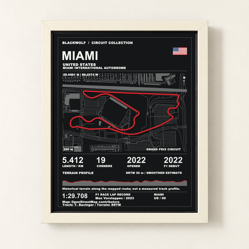 Miami 8 × 10 inch circuit art with White frame, digital product representation