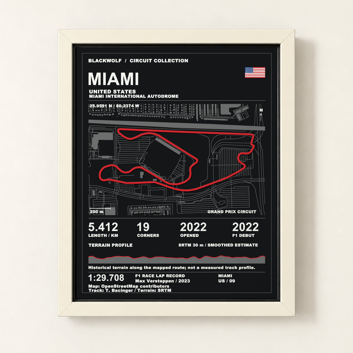 Miami 8 × 10 inch circuit art with White frame, digital product representation