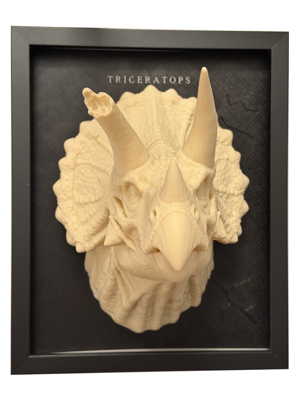 Real Triceratops relief, front view, with a black frame and pale ivory dinosaur head on a dark panel.