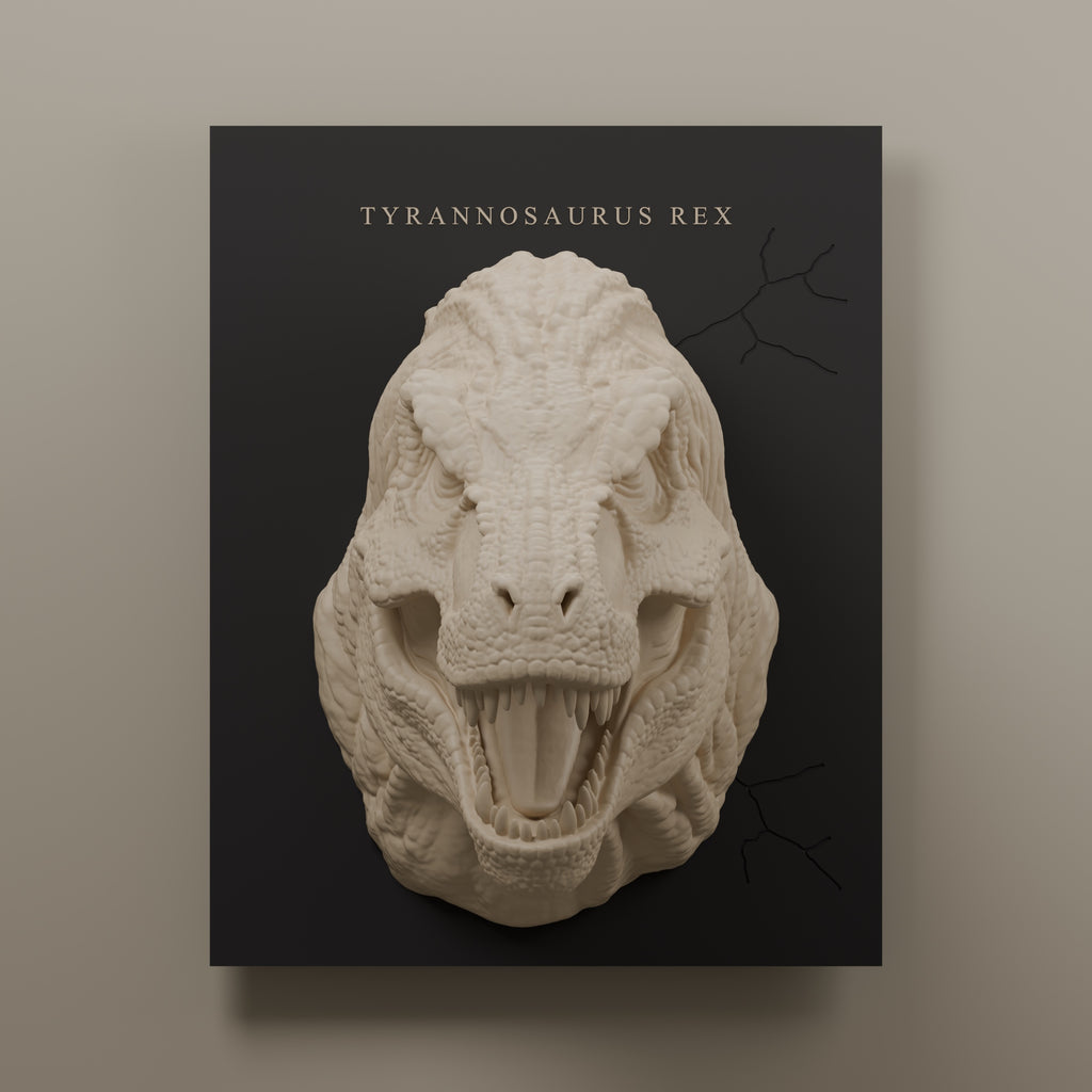 Render frontal del cuadro T-Rex R5